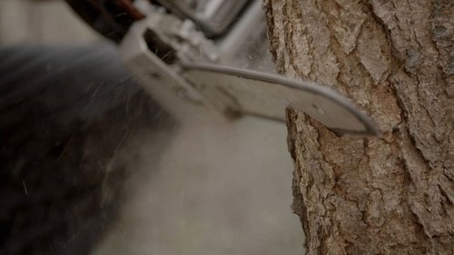 Background image for Episode 5