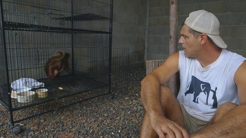Background image for To the rescue: Episode 4