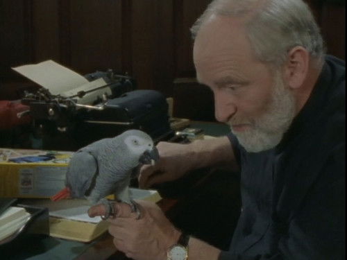 Red Sky at Morning, Sailor Take Warning