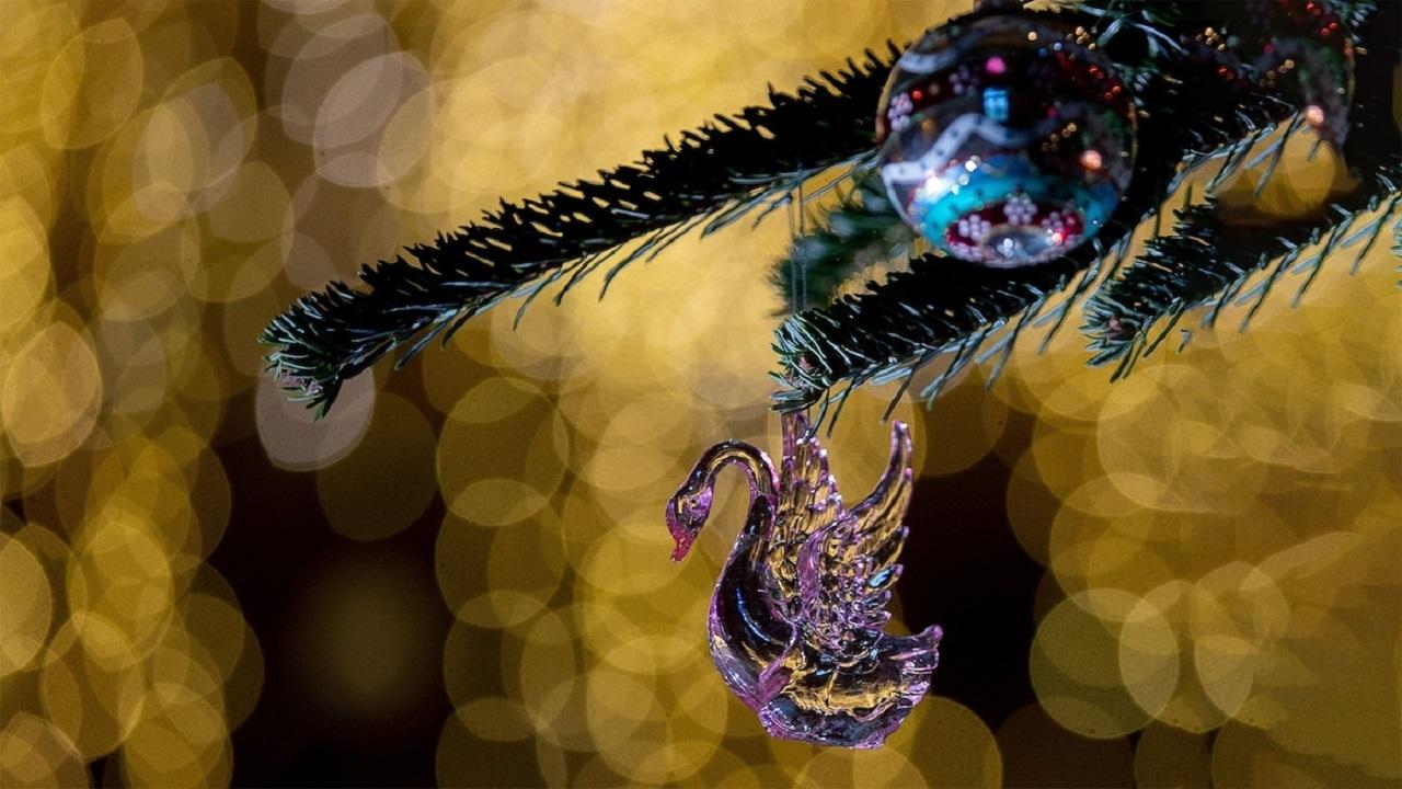 Christmas At... backdrop