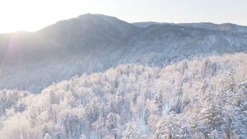 Background image for Shimukappu in Winter