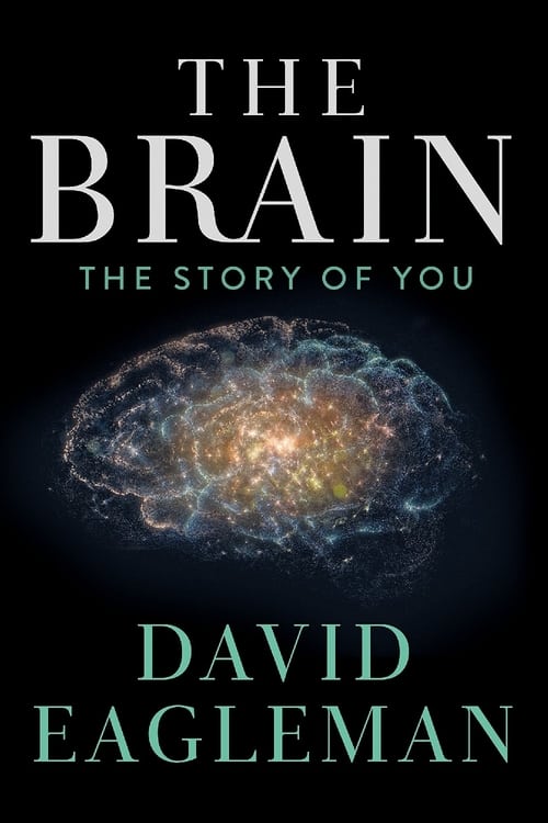 Show cover for The Brain with David Eagleman