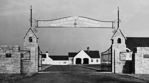 Background image for Out of the Ashes (1900 – 1940s)