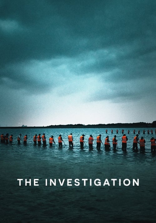 Show cover for The Investigation