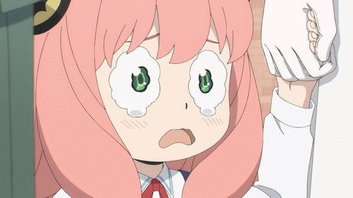 Background image for WILL THEY PASS OR FAIL?