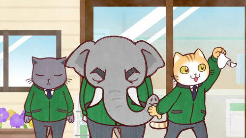 Rental Car Shop Buddies!