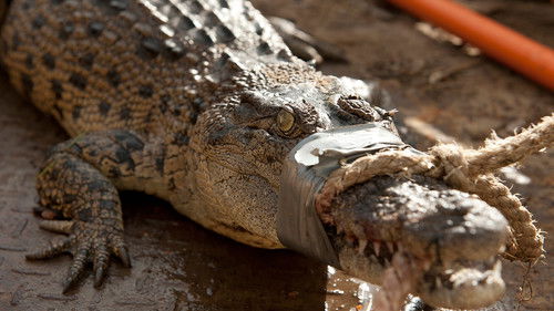 Background image for Episode 2