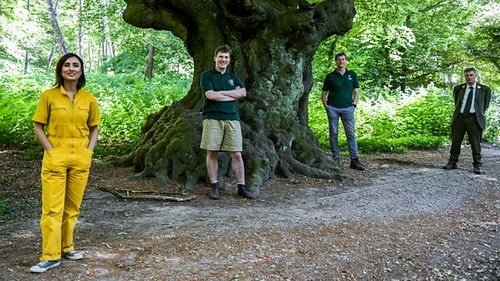 Background image for Epping Forest