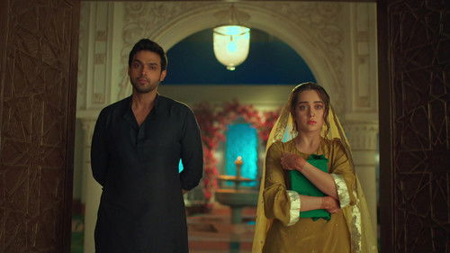 Seher Faces a Cold Welcome