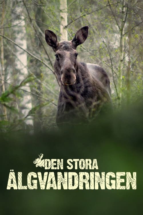 Show cover for Den stora älgvandringen