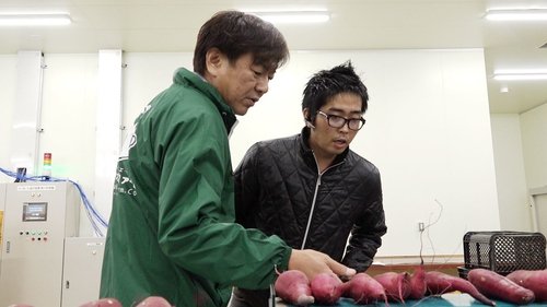 Background image for Miyazaki's Sweet Potatoes Win Fans in Asia - Makoto Ikeda