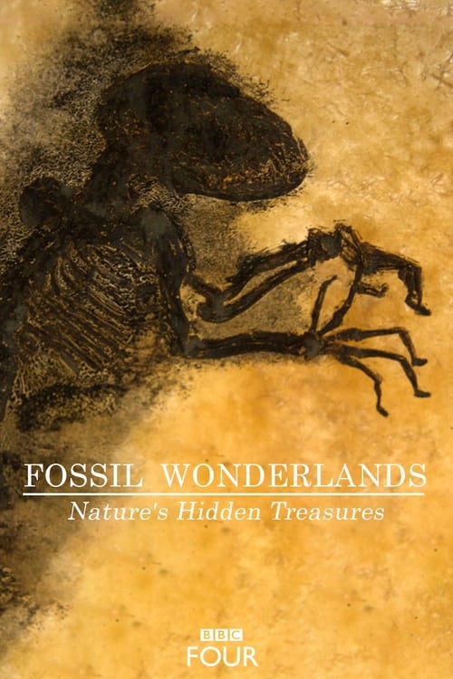 Show cover for Fossil Wonderlands: Nature's Hidden Treasures