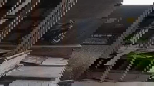 Background image for The Almost Naked Gun