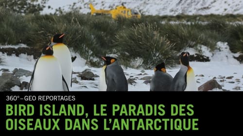 Bird Island - Bird Paradise in the Antarctic