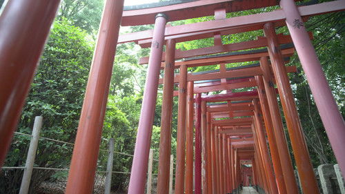 Background image for Mont Blanc