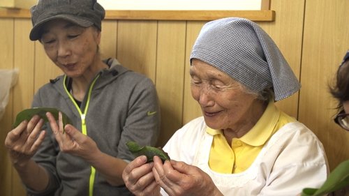 Background image for Misao Kuwata: Mochi Rice Cakes Wrapped in Bamboo Leaves