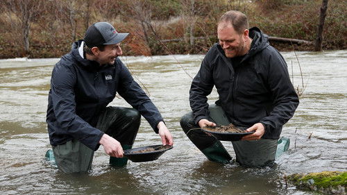 Background image for The Great Gold Rush Shootout