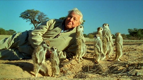 Attenborough's Life Stories: Understanding the Natural World