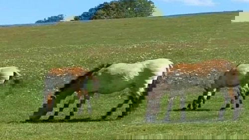 Background image for Episode 4