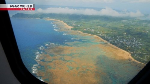 Background image for Kagoshima to Amami Airport
