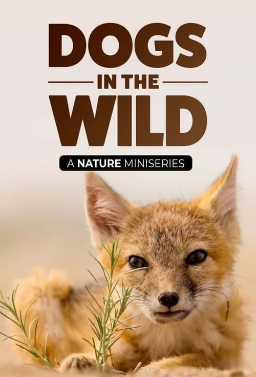 Show cover for Dogs in the Wild: Meet the Family