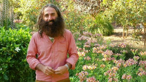 Background image for Episode 4 Mangrove Makeover, Teurong Farm & Nifty Natives