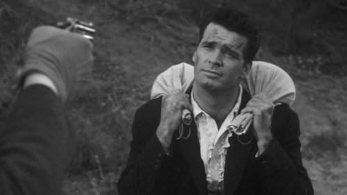 Background image for Stampede