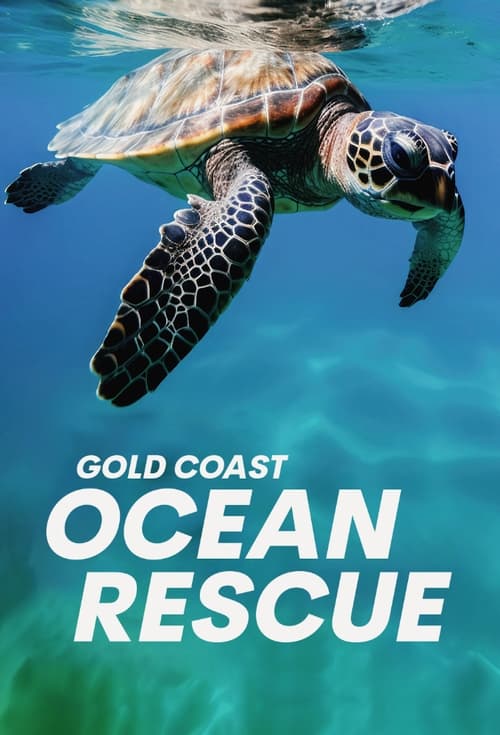 Gold Coast Ocean Rescue