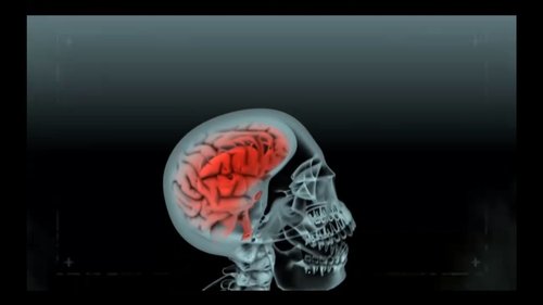 Background image for Stupid Is as Death Does