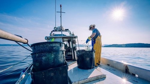 Background image for Fish