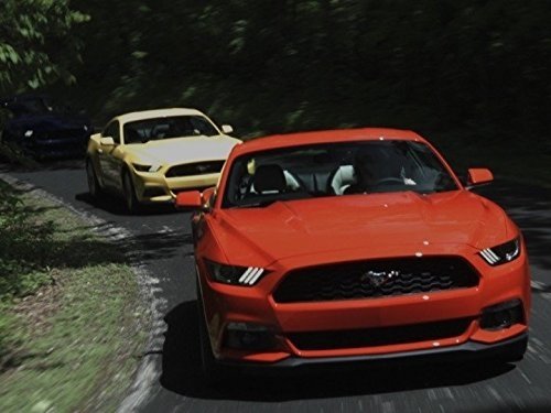 Background image for Ford Mustangs