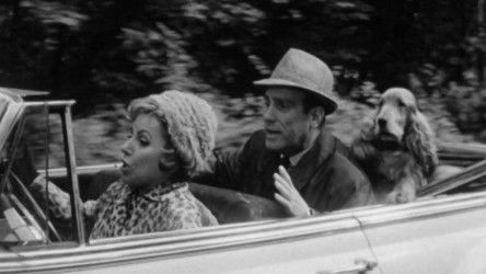 Background image for Episode 19