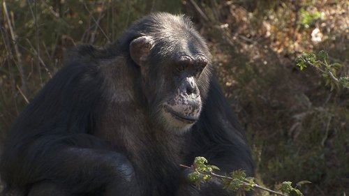 Background image for Episode 9