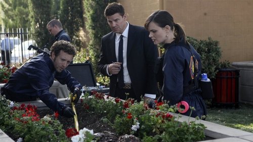 Background image for The Pinocchio in the Planter