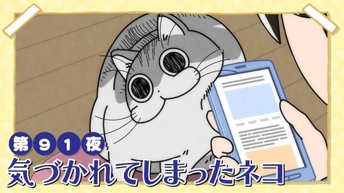 Night 91: Exposed Cat