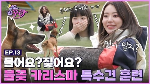 Background image for The biggest cowards ever?! Sakura and Eunchae try training special dogs🐶🔥