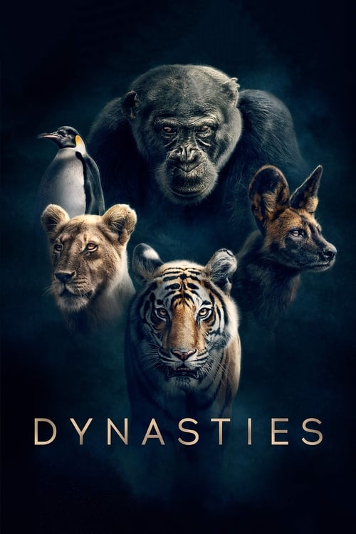 Show cover for Dynasties