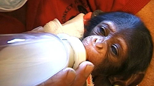 Background image for Episode 14