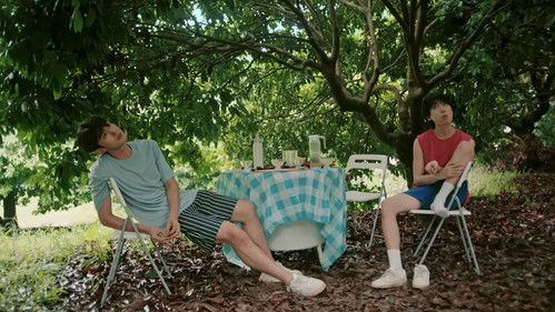 Wild Fun by the Pool