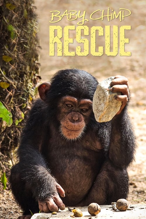 Show cover for Baby Chimp Rescue