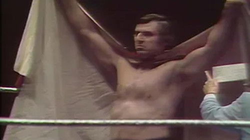 Background image for Madison Square Garden: Feb. 2, 1976