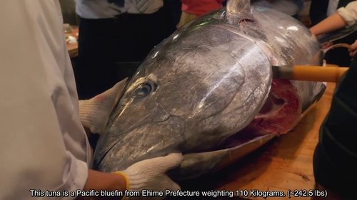 Background image for Go to the tuna cutting show!