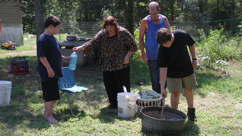 Background image for Melody / Marlin