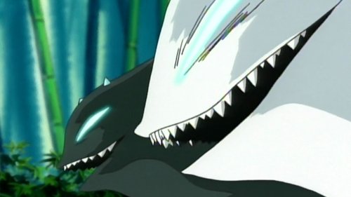 Background image for Bear claws