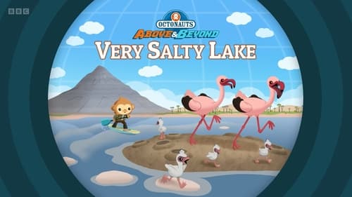 Very Salty Lake