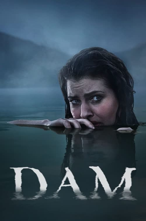 Show cover for Dam