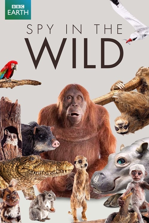 Show cover for Spy in the Wild