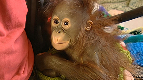 Background image for Episode 12