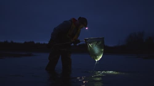 The Million Dollar Baby Eel Deal