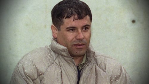 Background image for The Sinaloa Cartel: The El Chapo Years